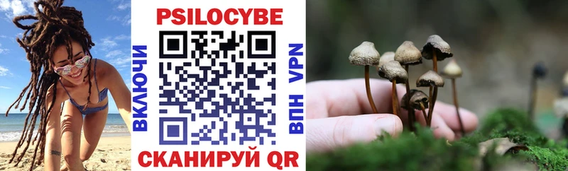 даркнет телеграм  Вяземский  Галлюциногенные грибы MAGIC MUSHROOMS 